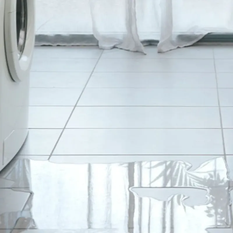 Appliance Leak Cleanup in Zachary, LA