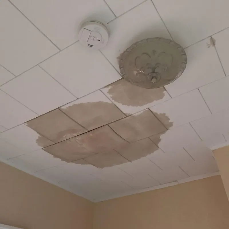 Ceiling Water Damage Repair in Zachary, LA