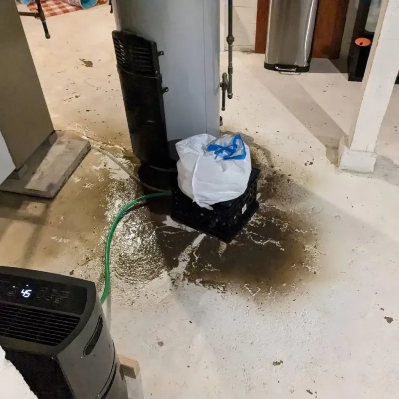 Sewage Backup Cleanup Service in Zachary, LA